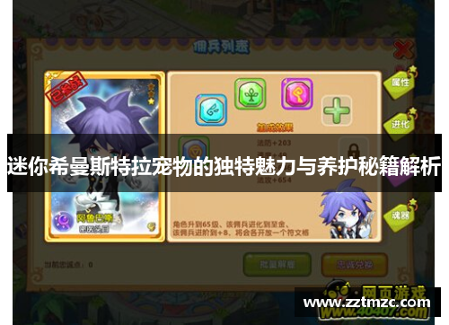 迷你希曼斯特拉宠物的独特魅力与养护秘籍解析